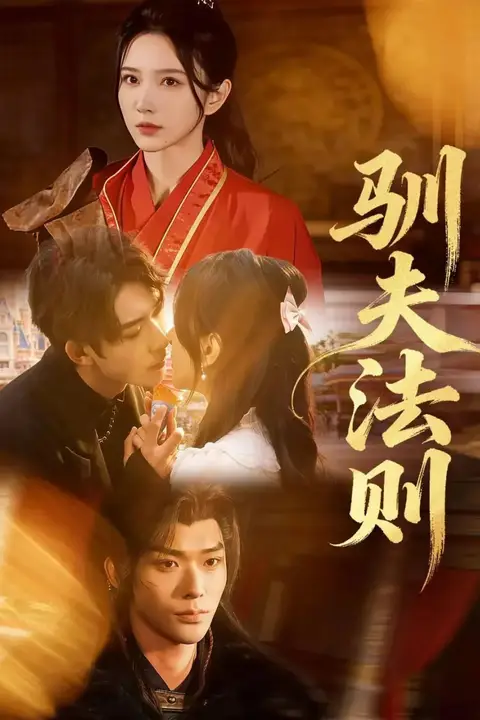 《驯夫法则》封面