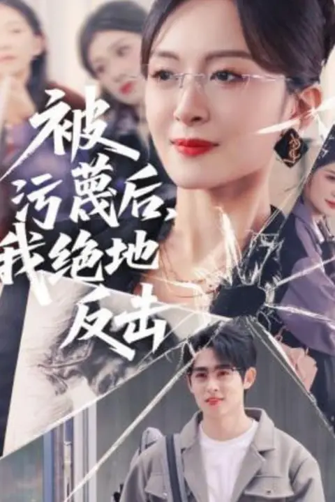 《被污蔑后,我绝地反击》封面
