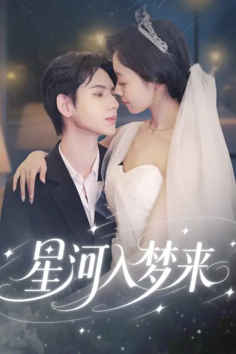 《星河入梦来》封面