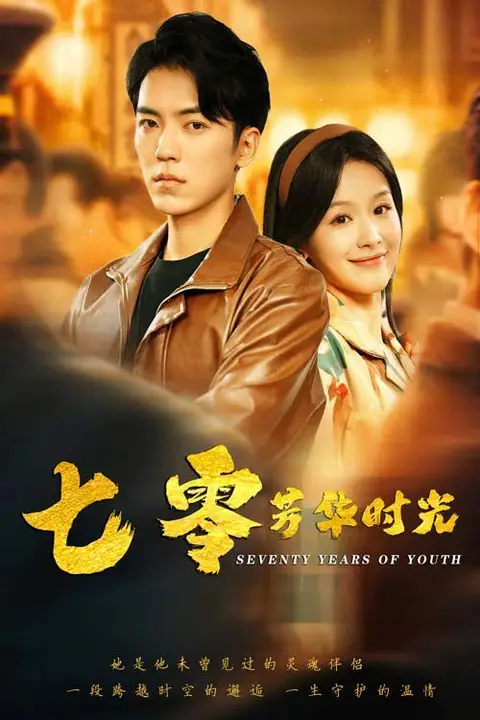 《七零芳华时光》封面