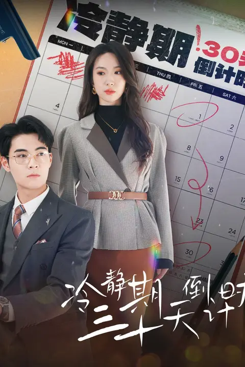 《冷静期三十天倒计时》封面