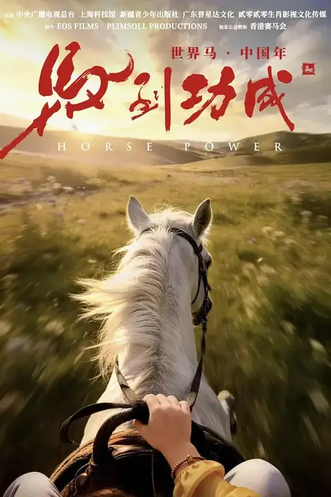 《马到功成》封面