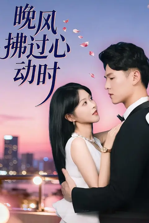《晚风拂过心动时》封面