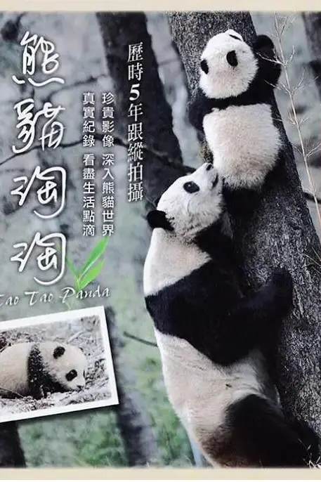 《熊猫淘淘》封面