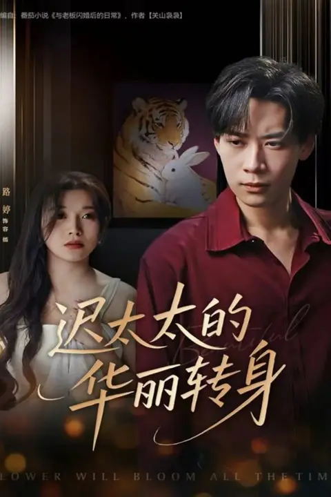 《迟太太的华丽转身》封面