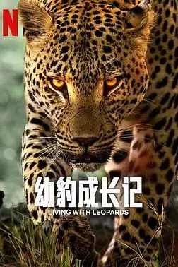 《幼豹成长记》封面