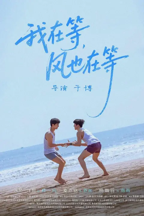 《我在等,风也在等》封面