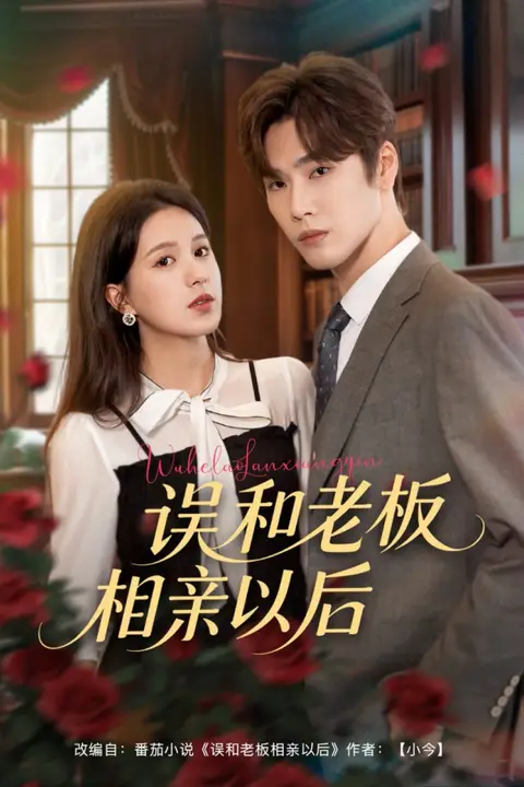 《误和老板相亲以后》封面