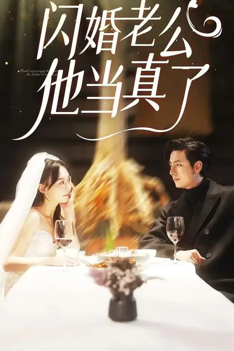 《闪婚老公他当真了》封面