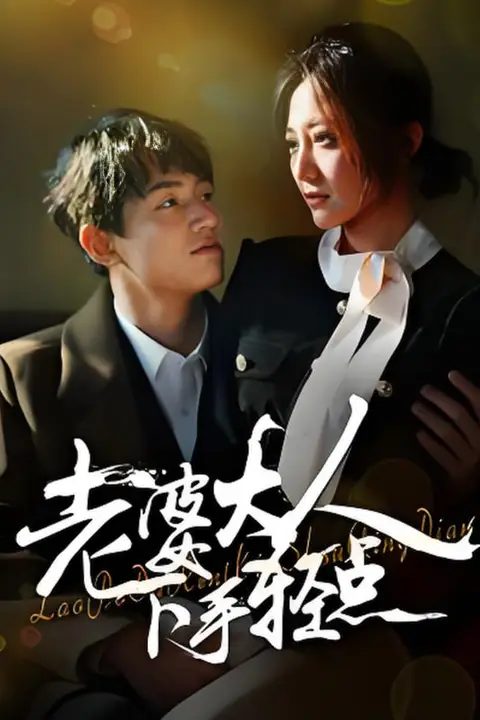 《老婆大人下手轻点》封面
