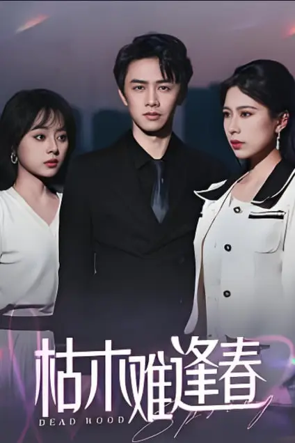 《枯木难逢春》封面