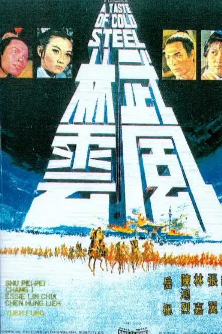 《武林风云》封面