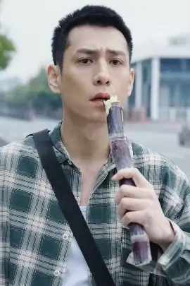 《骄龙》封面