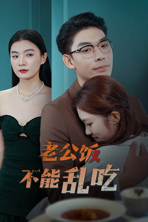 《老公饭不能乱吃》封面
