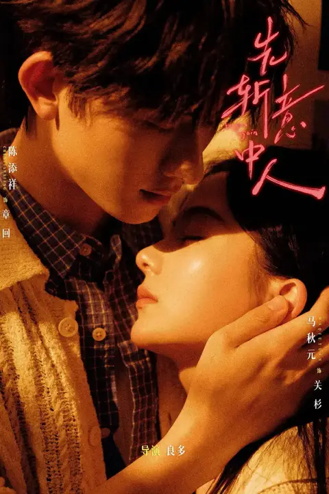 《先斩意中人》封面