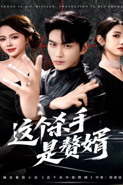 《这个杀手是赘婿》封面