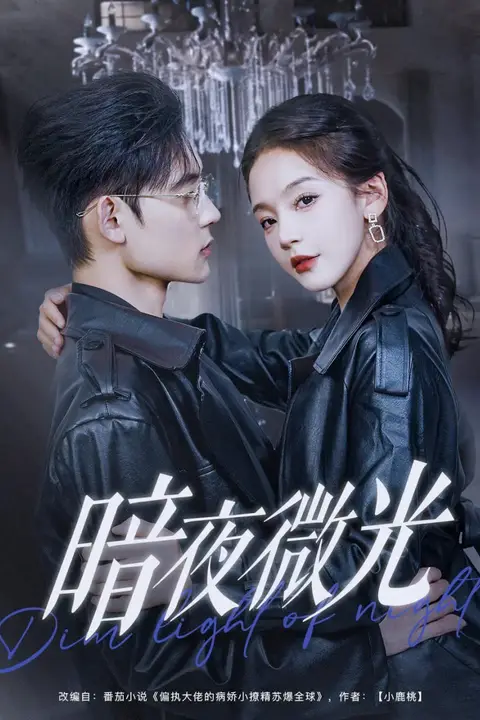 《暗夜微光》封面