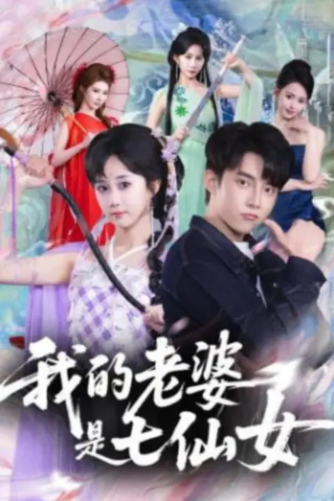 《我的老婆是七仙女》封面