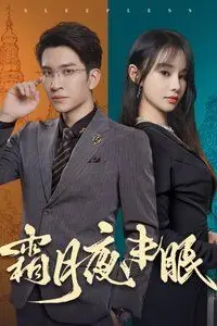 《霜月夜未眠》封面