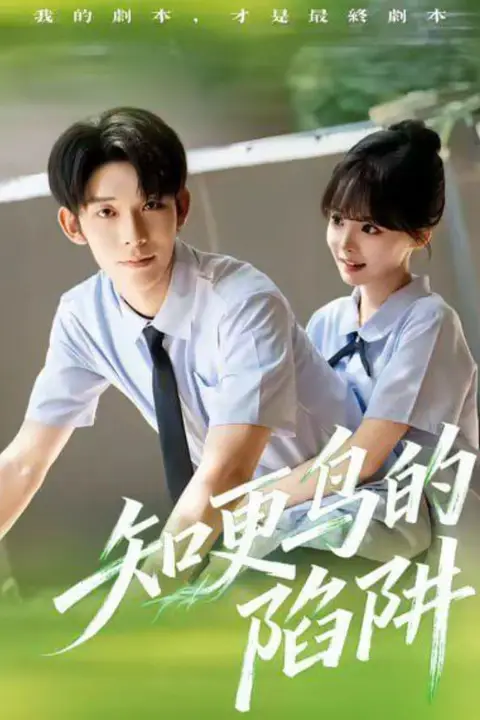 《知更鸟的陷阱（学霸堕落计划）》封面