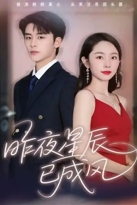《昨夜星辰已成风》封面