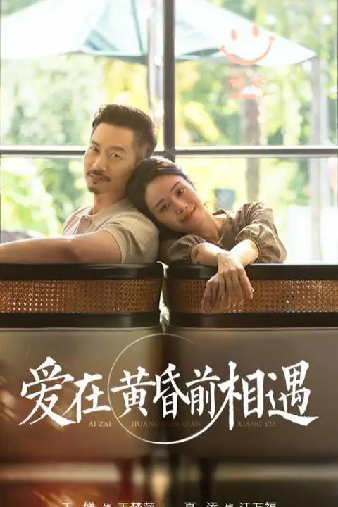 《爱在黄昏前相遇》封面