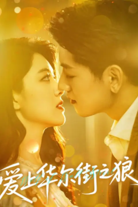 《爱上华尔街之狼》封面