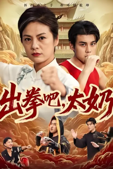 《出拳吧,太奶》封面