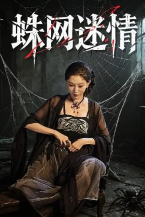 《蛛网迷情》封面
