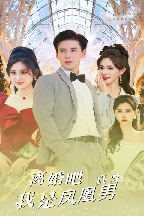 《离婚吧真当我是凤凰男》封面