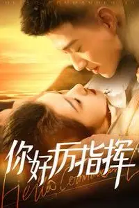 《你好厉指挥》封面