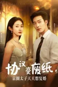 《协议变废纸，京圈太子天天想复婚》封面