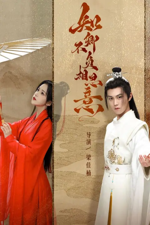 《知卿不负相思意》封面