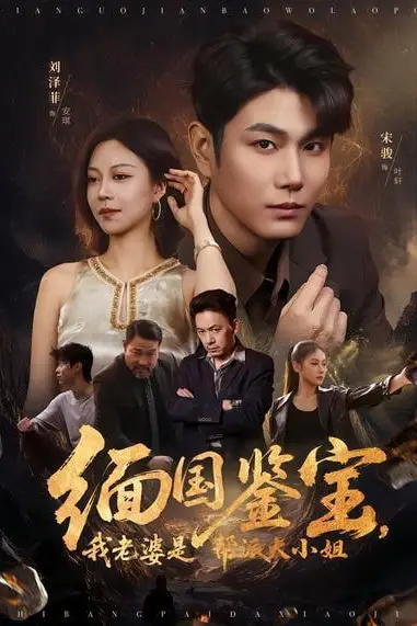 《缅国鉴宝，我老婆是帮派大小姐》封面
