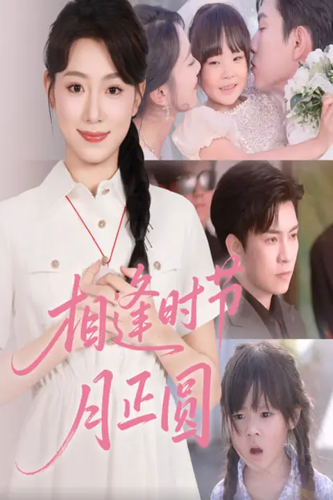 《相逢时节月正圆》封面