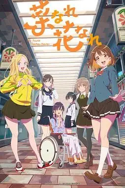《亦叶亦花》封面