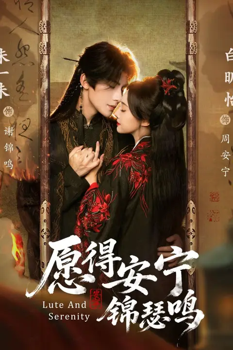 《愿得安宁锦瑟鸣》封面