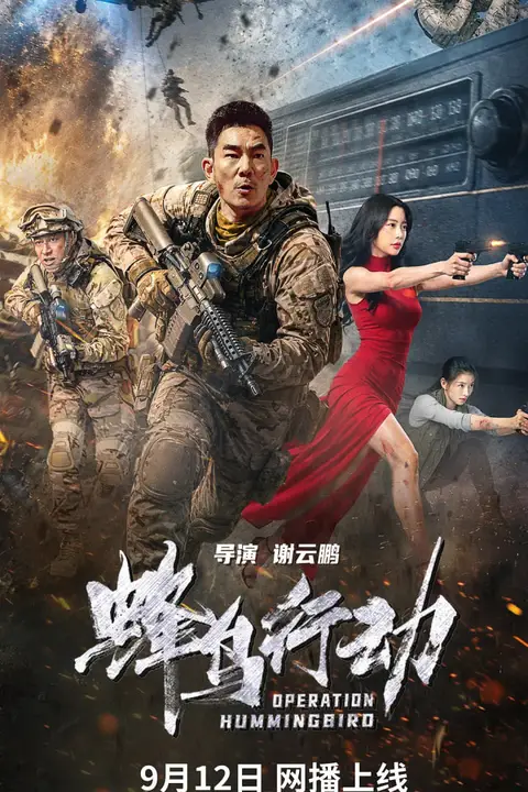 《蜂鸟行动》封面