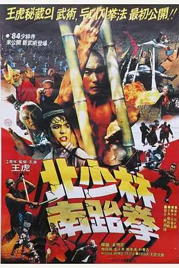 《北少林南跆拳》封面