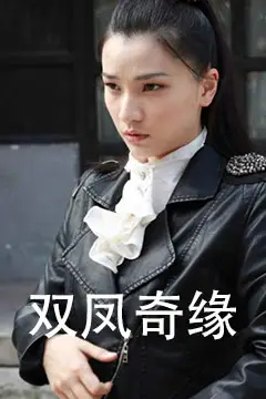 《双凤奇缘》封面