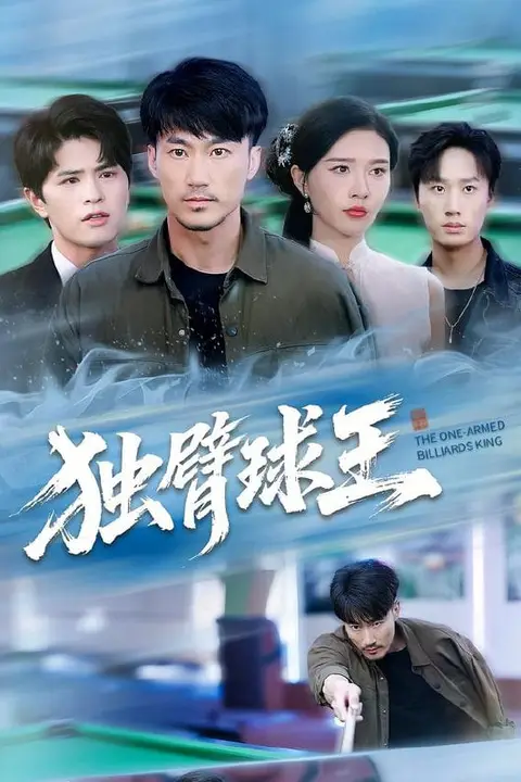 《独臂球王(不服输的球王)》封面
