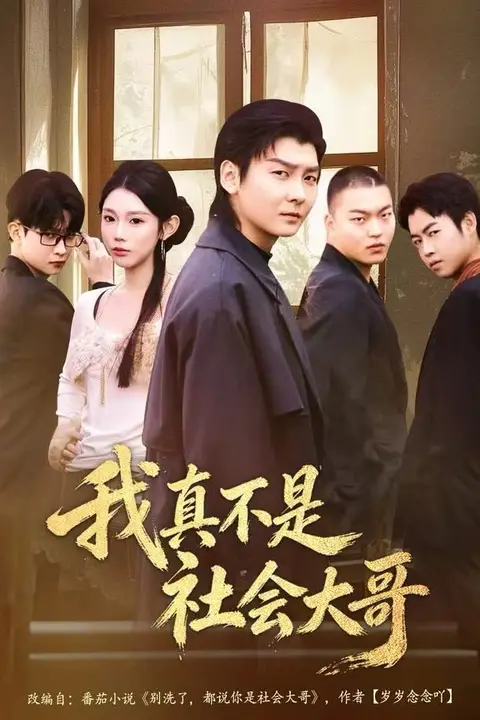 《我真不是社会大哥》封面