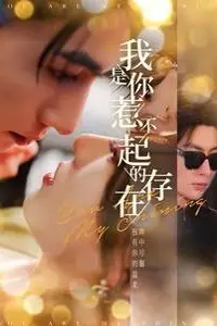 《我是你惹不起的存在》封面