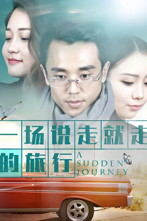 《一场说走就走的旅行》封面