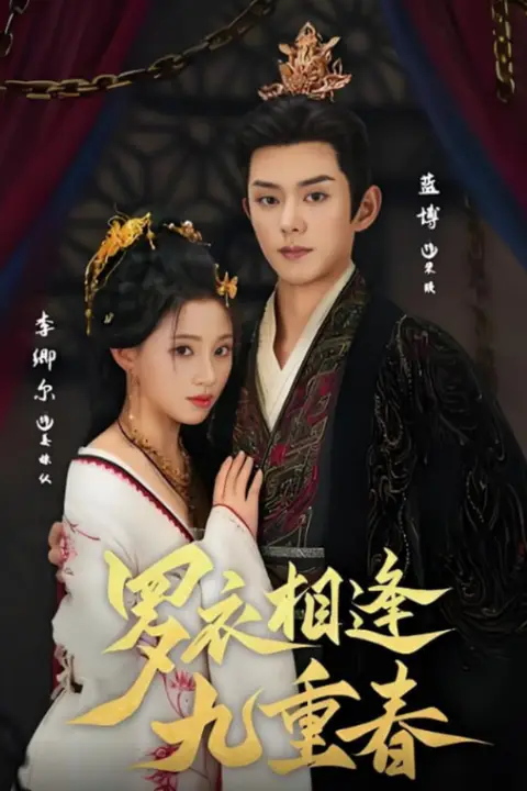 《罗衣相逢九重春》封面
