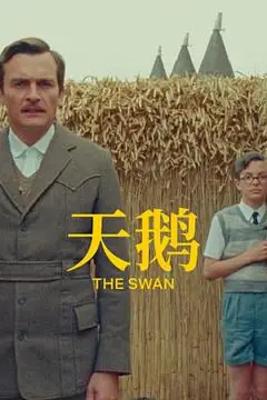 《天鹅》封面