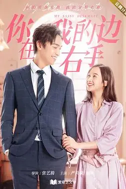《你在我的右手边第一季》封面