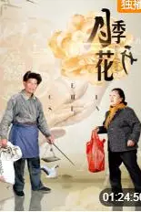 《月季花开》封面