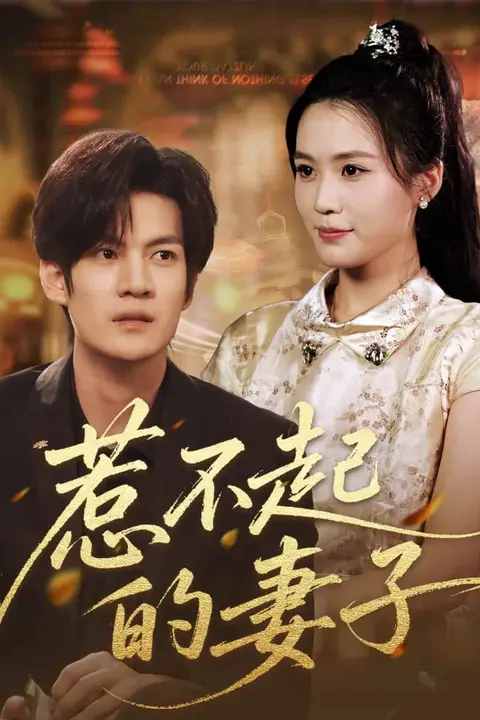《惹不起的妻子》封面