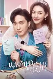 《从离婚开始的爱情》封面
